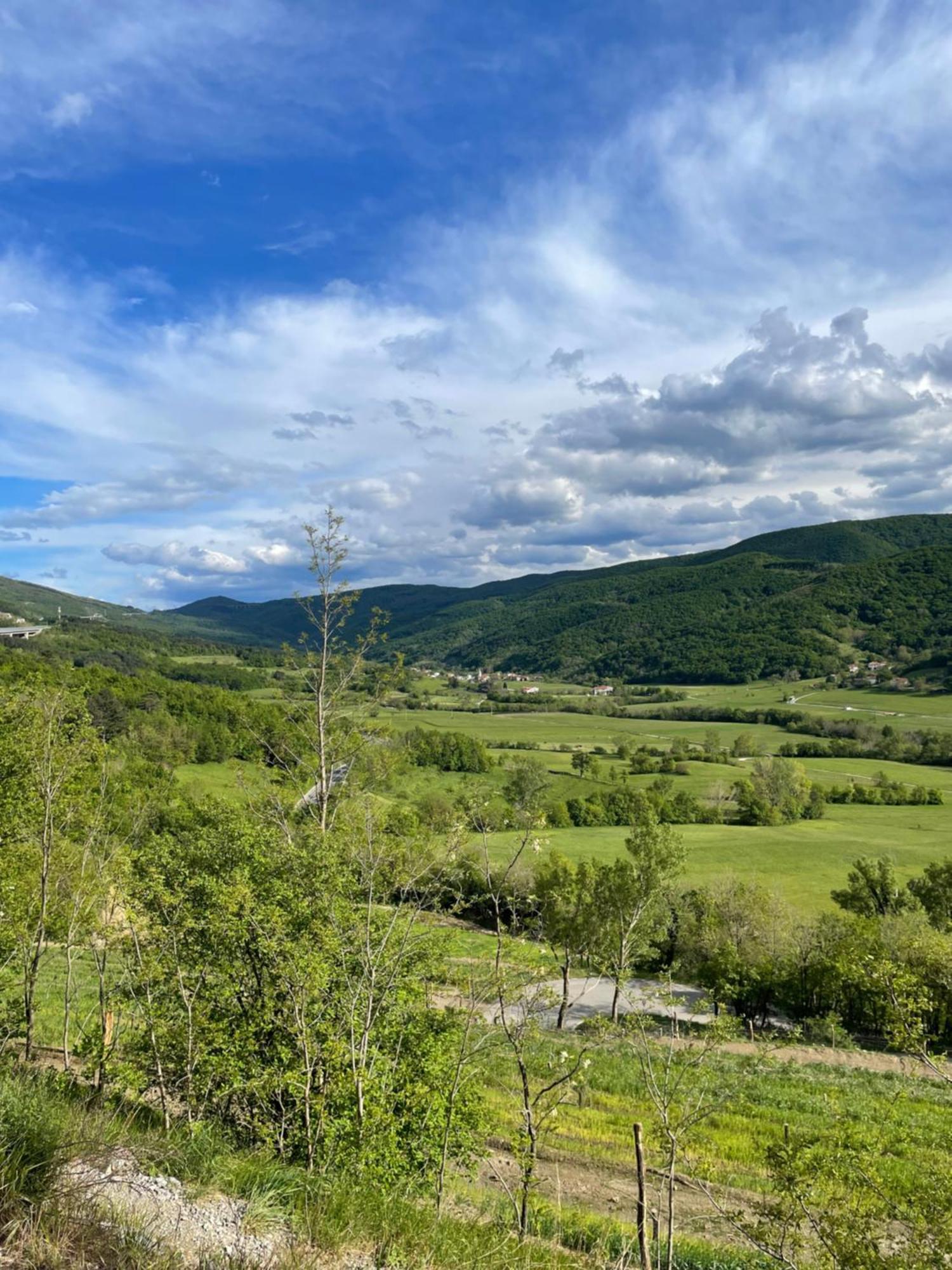 Homestead - Domacija - Nabergoj Podnanos 外观 照片